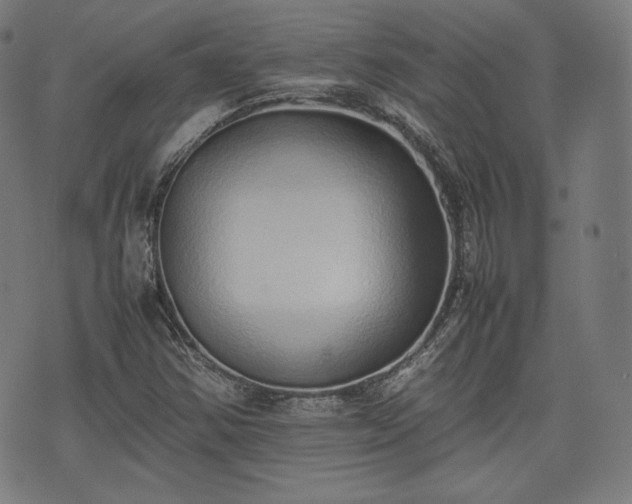 X0000075331354200609151435