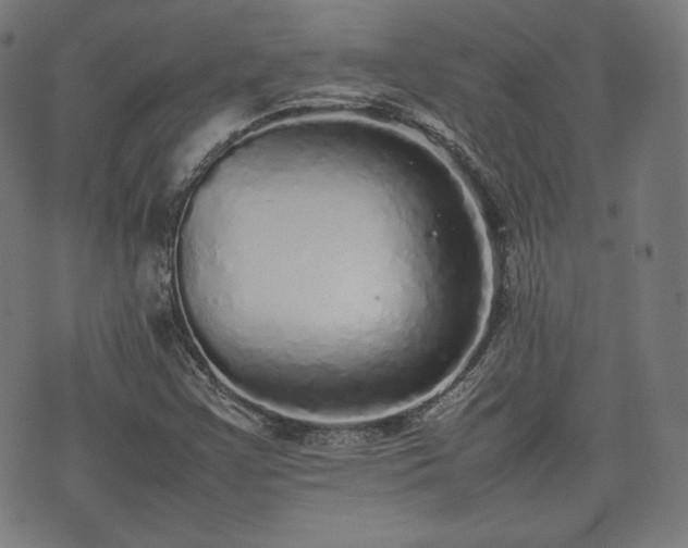 X0000075331355200609151435