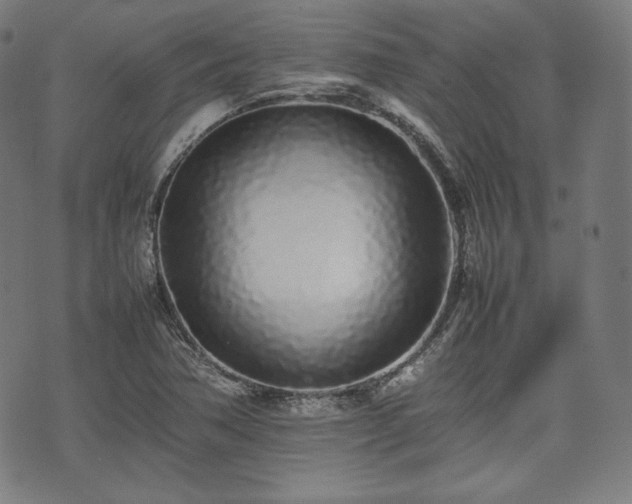 X0000075331362200609151435