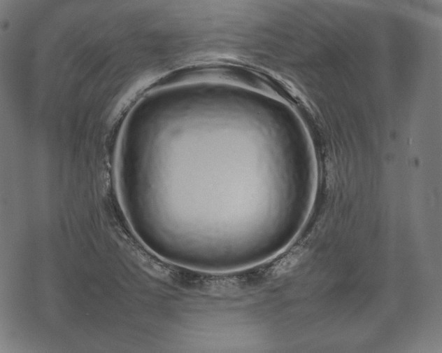 X0000075331363200609151435