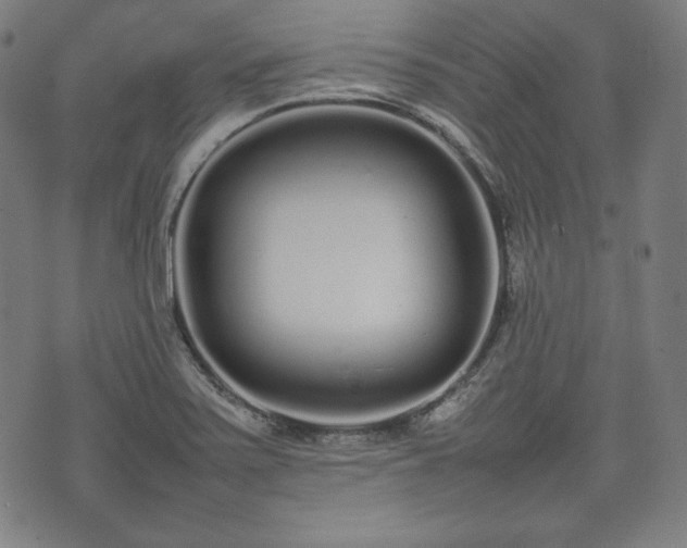 X0000075331371200609151435