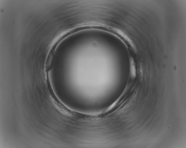 X0000075331372200609151435