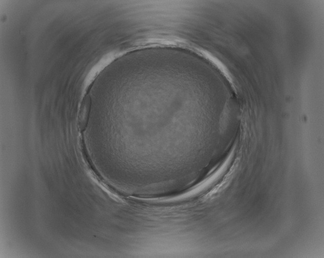 X0000075331373200609151435
