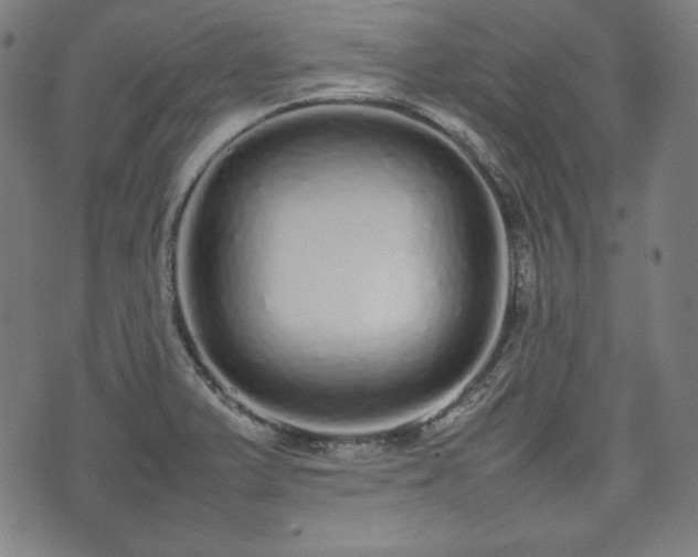 X0000075331375200609151435