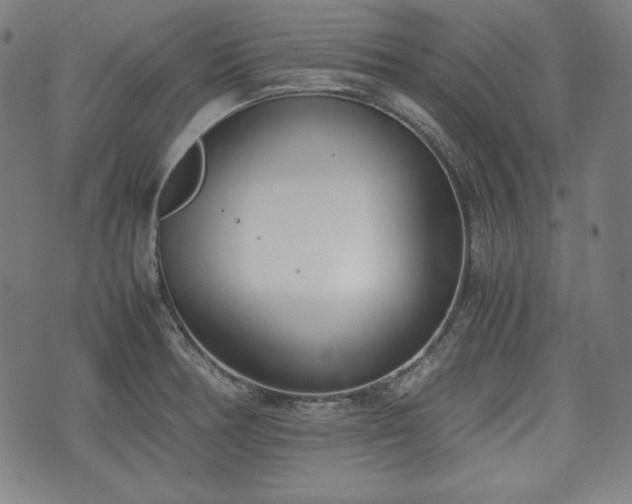 X0000075331378200609151435