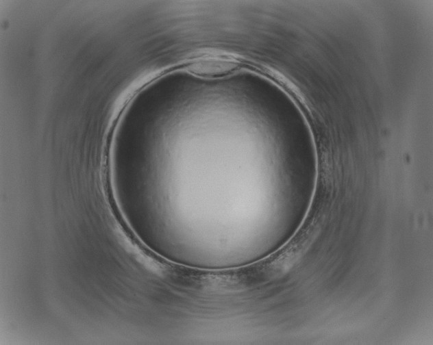 X0000075331379200609151435