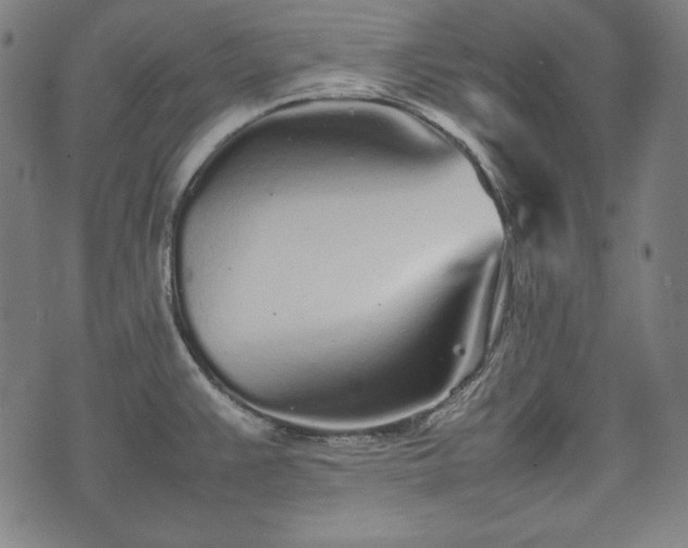X0000075331383200609151435