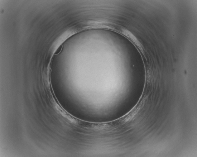X0000075331386200609151435