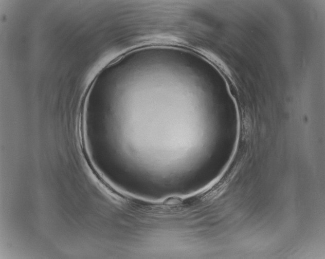 X0000075331391200609151435