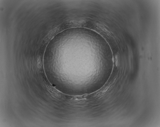 X0000075331395200609151434