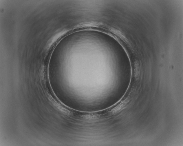 X0000075331404200609151434