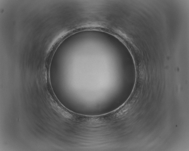 X0000075331408200609151434