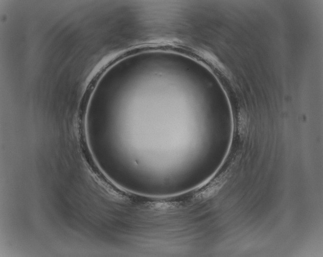 X0000075331412200609151434