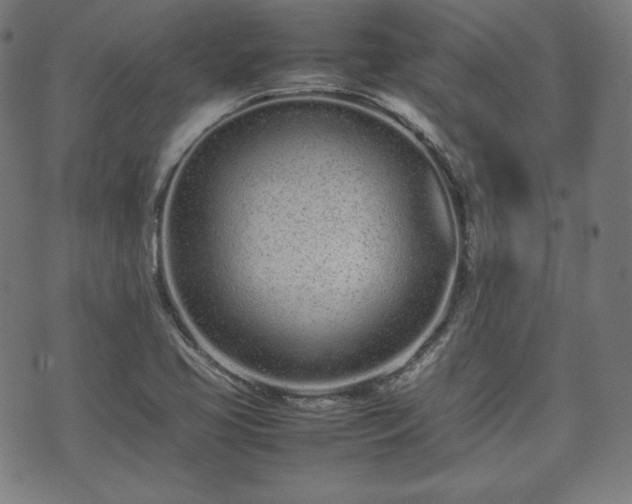 X0000075331413200609151434