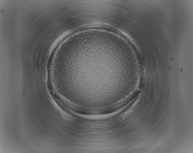X0000075331418200609151434