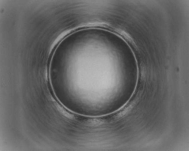 X0000075331420200609151434