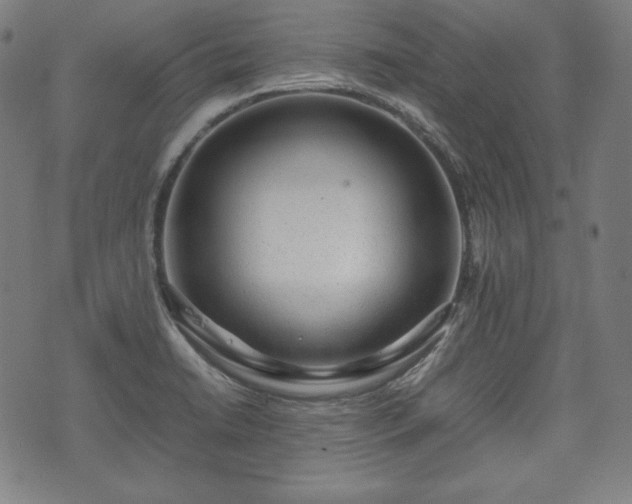 X0000075331422200609151435