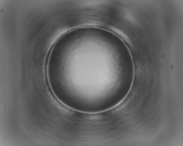 X0000075331423200609151435