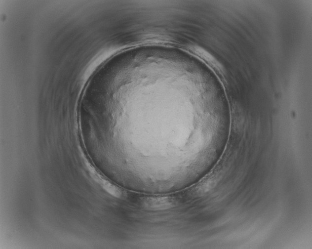 X0000075331431200609151435