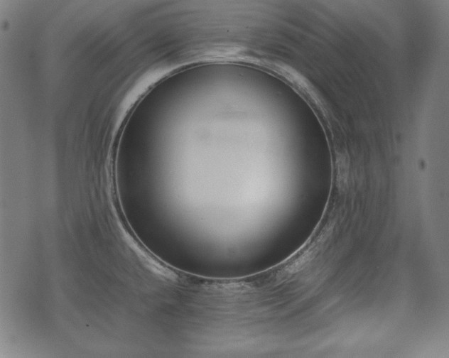 X0000075331432200609151435