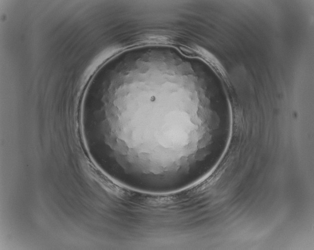 X0000075331435200609151435
