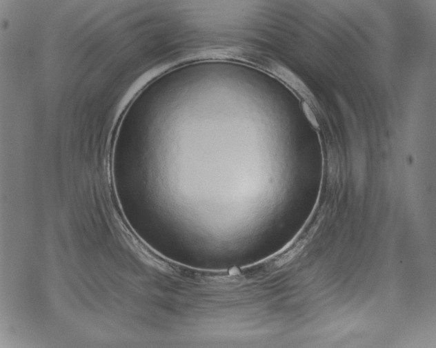 X0000075331436200609151435