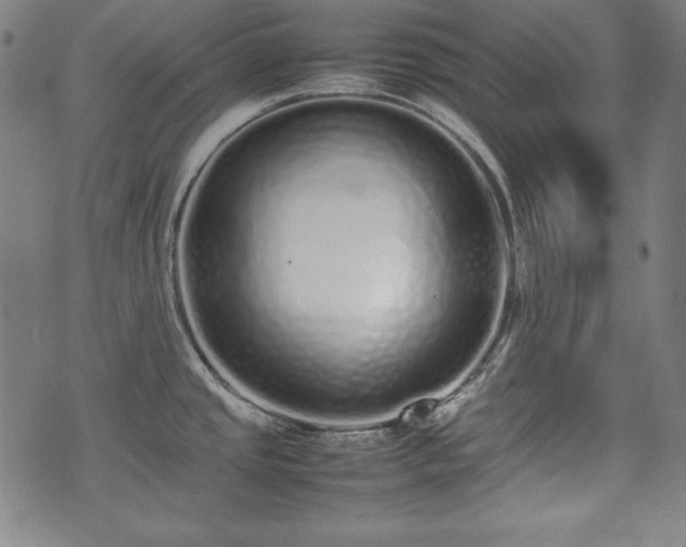 X0000075331437200609151435