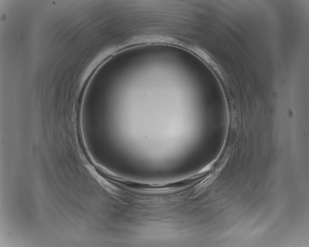 X0000075331438200609151435