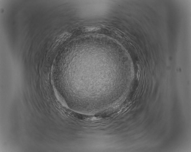 X0000075331441200609151434