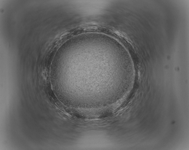 X0000075331445200609151434