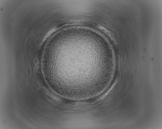 X0000075331449200609151434