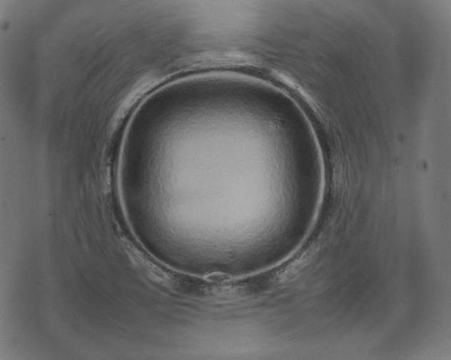 X0000075331459200609151434