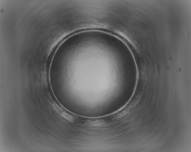X0000075331460200609151434