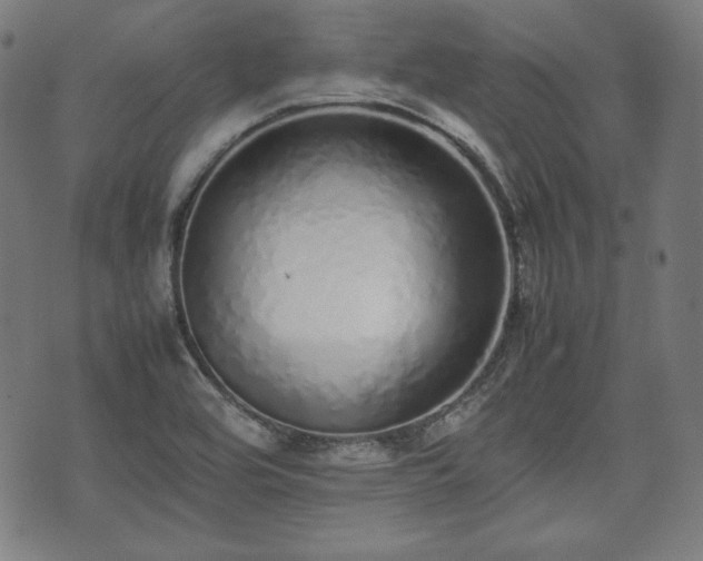 X0000075331464200609151434