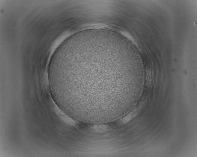 X0000075331466200609151434