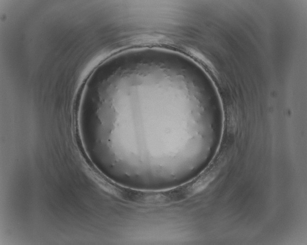 X0000075331467200609151434