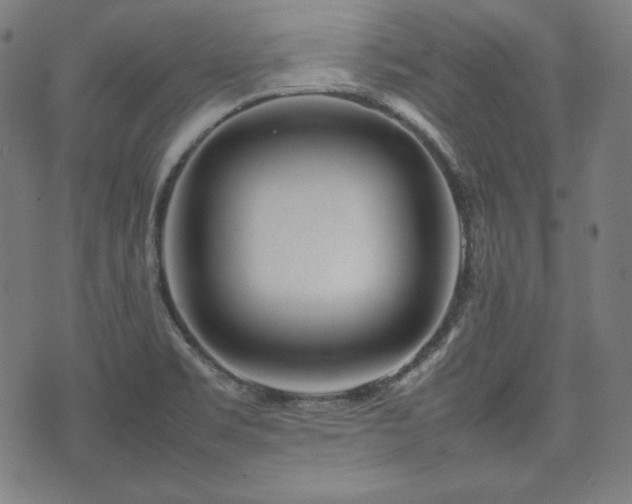 X0000075331469200609151434