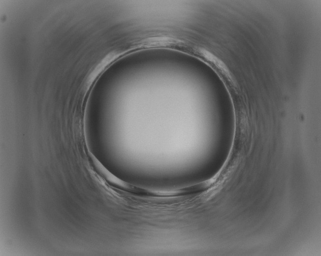 X0000075331473200609151434