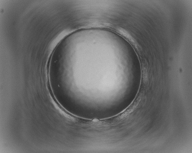 X0000075331479200609151433
