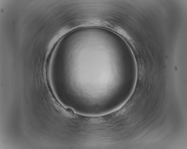 X0000075331480200609151433