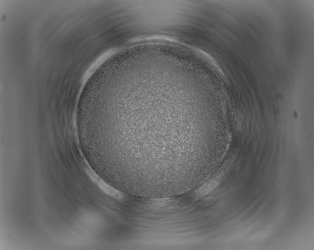 X0000075331482200609151433