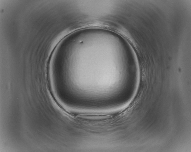 X0000075331483200609151433