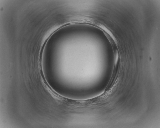 X0000075331485200609151433