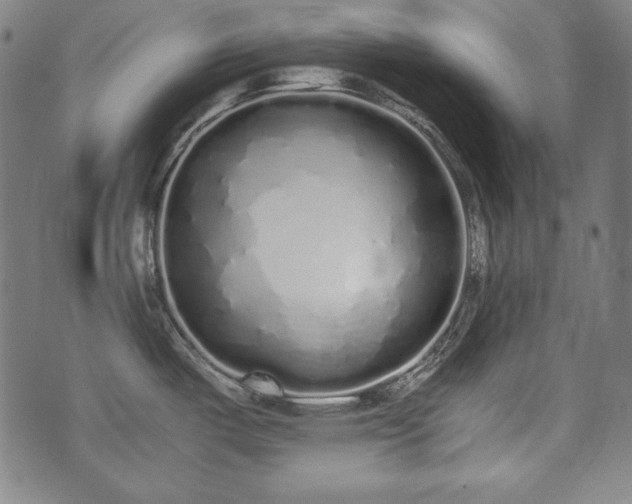 X0000075331487200609151433