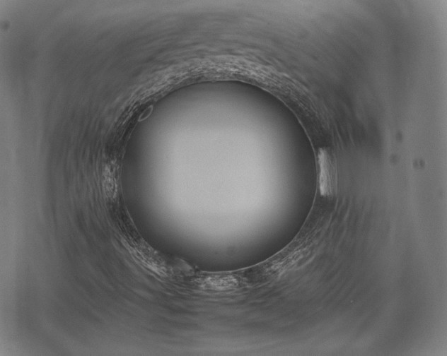 X0000075331491200609151433