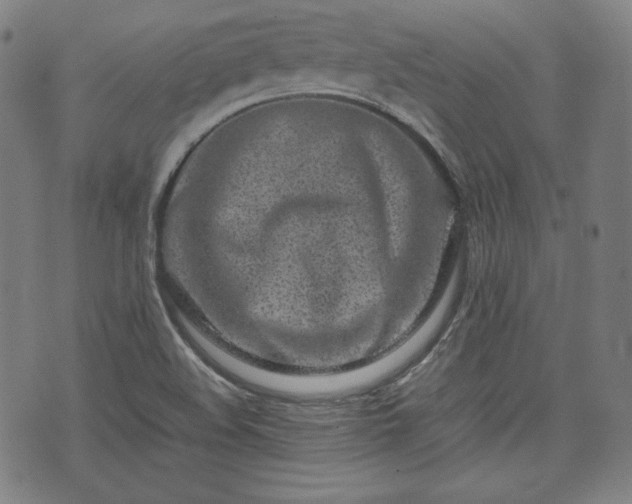X0000075331508200609151433
