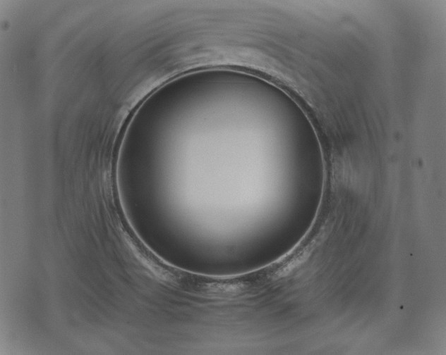 X0000075331513200609151433