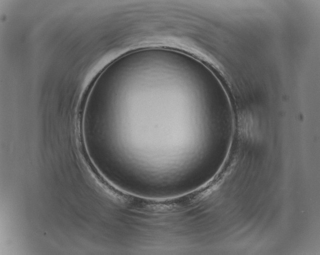 X0000075331517200609151433