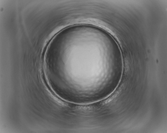 X0000075331525200609151433