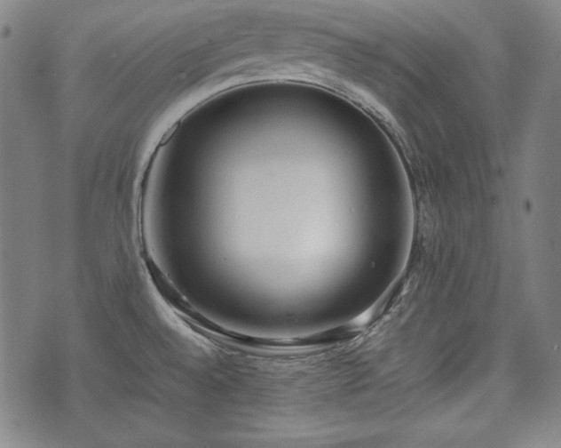 X0000075331528200609151433